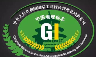 固阳莜面 是固阳八宝之一,看看怎回事