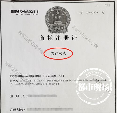 恶意注册商标的处罚与欧共体商标注册制度