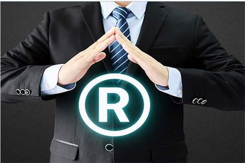 商标被驳回后的应对策略 从欧共体商标注册角度出发