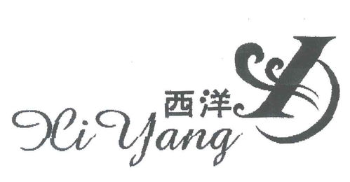 西洋商标注册第17类 橡胶制品类商标信息与状态查询指南